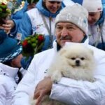 Белый шпиц лукашенко имеет больше прав, чем народ беларуси — Зеленский