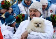 Белый шпиц лукашенко имеет больше прав, чем народ беларуси — Зеленский