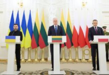 Зеленский в Вильнюсе обсудил энергетическую поддержку и ПВО с лидерами Литвы и Польши