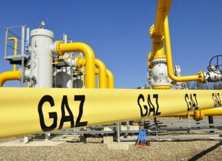 ЕС освободит США и Катар от дополнительных проверок в рамках запрета на российский газ — Reuters