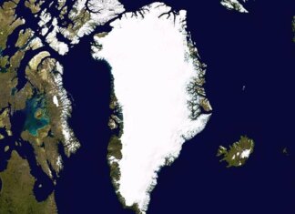 США и Дания начали переговоры по Гренландии, чтобы успокоить Трампа