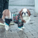 В Украину прорвется тепло с Балкан, но есть нюанс: как изменится погода