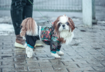 В Украину прорвется тепло с Балкан, но есть нюанс: как изменится погода