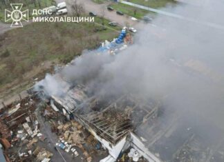 В Николаевской области в течение прошлого года зафиксировали более пяти тысяч пожаров