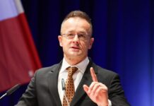 Венгрия продолжает скандалить с Украиной: к Обрану подключился Сийярто