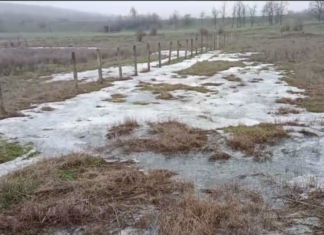 Промышленные стоки с резким запахом: в Николаевской области зафиксировали экологическую угрозу, — ВИДЕО
