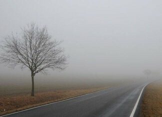 В Николаеве и области ожидается туман: объявлен желтый уровень опасности