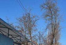 В Николаеве с утра посыпают тротуары и остановки: коммунальщики работают в усиленном режиме, — ФОТО