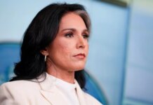 Директор национальной разведки США Тулси Габбард расформировывает спецгруппу по изучению иностранного влияния