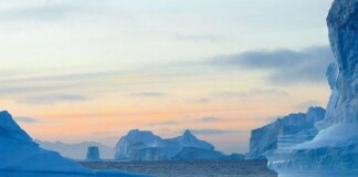 В НАТО обеспокоены растущим интересом Китая к Арктике