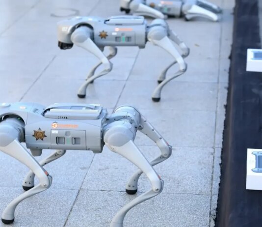 Мексиканская полиция будет использовать роботов-собак для обеспечения безопасности на Чемпионате мира по футболу 2026 года