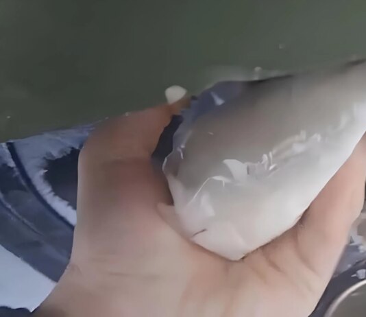 Партизан АТЕШ вывел из строя российскую спецтехнику с оборудованием "Омут" на Брянщине