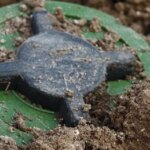 Польша официально выходит из Оттавской конвенции для развертывания собственного производства противопехотных мин