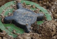 Польша официально выходит из Оттавской конвенции для развертывания собственного производства противопехотных мин