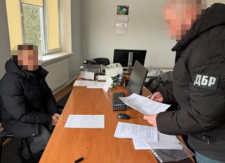 На Волині митник оформив вантажні електромобілі як легкові, бюджет втратив 700 тисяч гривень