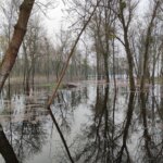 Весна: грозит ли Украине масштабное половодье и что будет с Киевом