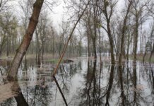 Весна: грозит ли Украине масштабное половодье и что будет с Киевом