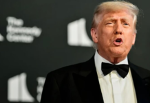 Трамп и Путин тайно обсуждают «Северный поток»: Европа осталась не у дел