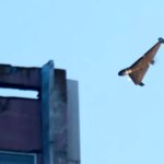 В Николаеве после удара «шахеда» повреждены дома и инфраструктура