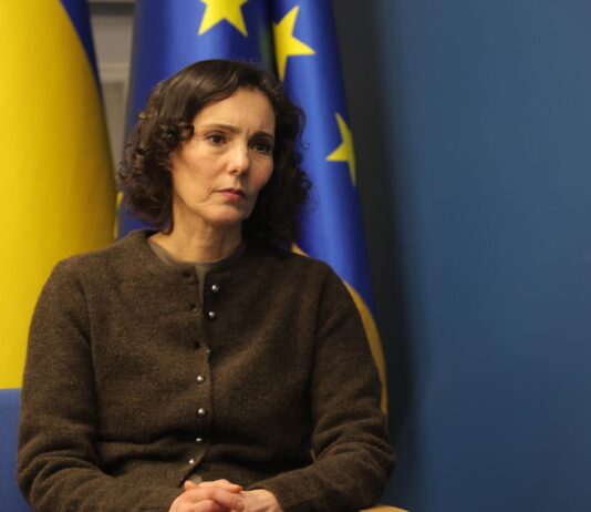 «Никаких критических вопросов»: в ЕС оценили, как Украина тратит гуманитарную помощь