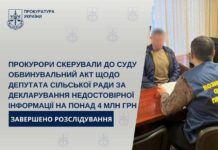 Скрыл имущество более 4 миллионов: депутата из Николаевской области будут судить