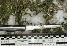 В Николаевской области молодого человека подозревают в покушении на убийство и изнасиловании: ему грозит до 15 лет