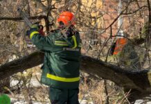 52 обращения от горожан: в Николаеве ликвидируют последствия непогоды, — ФОТО