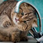 Отключение до вечера: где в Николаеве сегодня не будет воды