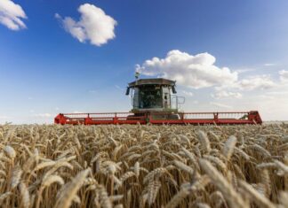 Деньги, гранты и техника: какую поддержку получат аграрии Николаевщины