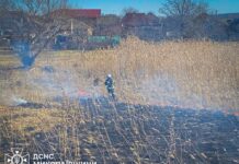 В Николаевской области за сутки произошло шесть пожаров: один человек погиб, — ФОТО