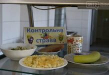Родители смогут жаловаться на школьную еду через Telegram: в Николаевской области запустили бот