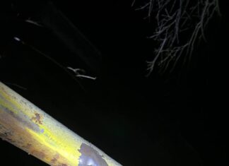 Россия атаковала Николаев дронами: повреждена многоэтажка, — ФОТО