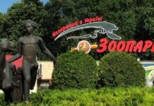 Лучший в Украине зоопарк: вся актуальная информация