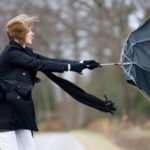 В Николаевской области объявили желтый уровень опасности из-за сильного ветра