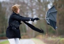 В Николаевской области объявили желтый уровень опасности из-за сильного ветра