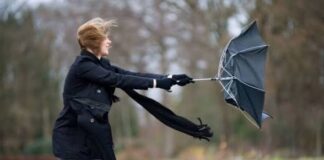 В Николаевской области объявили желтый уровень опасности из-за сильного ветра