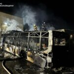 В Николаевской области за сутки произошло 8 пожаров: горели автобусы и гектары камыша, — ФОТО