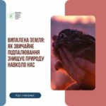Сжигаешь траву – платишь штраф: чем опасны поджоги и что грозит нарушителям