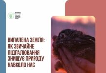 Сжигаешь траву – платишь штраф: чем опасны поджоги и что грозит нарушителям