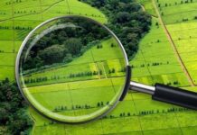 Не платили с 2022 года: прокуратура через суд возвращает общине 52 гектара земли