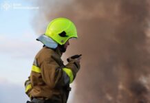 Чуть не дошло до домов: в Николаевской области выгорели гектары сухостоя, — ФОТО