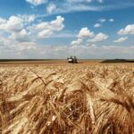 Весна набирает обороты: как погода повлияла на урожай Николаевской области