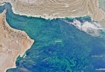 В США заявили, что уничтожили 11 иранских военных кораблей в Оманском заливе