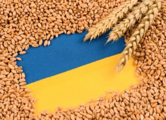 Конфлікт на Близькому Сході може створити профіцит зерна в Україні — експерт