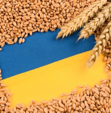 Конфлікт на Близькому Сході може створити профіцит зерна в Україні — експерт