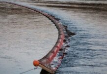 Молдова просит помощи ЕС из-за масштабного разлива топлива в Днестре