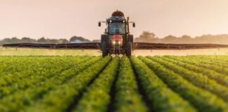 Дефицит топлива из-за войны на Ближнем Востоке начинает угрожать глобальным поставкам продовольствия — Bloomberg