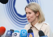 Каллас ответила на слова Трампа с предупреждением союзникам относительно Ормузского пролива с упоминанием об Украине