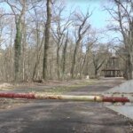 В лесу в Германии нашли тело 19-летней украинки — СМИ