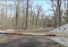 В лесу в Германии нашли тело 19-летней украинки — СМИ